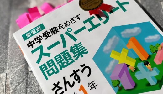 平成30年度 教研式nrtで算数100点を取った勉強法 小１ ボクと娘と娘と妻と